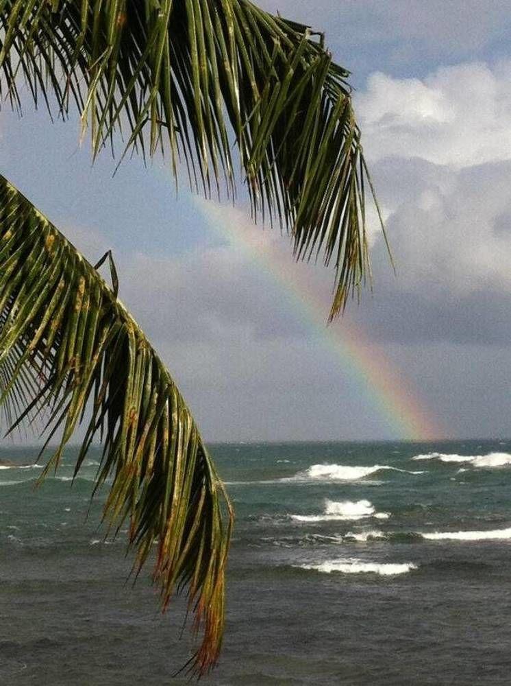Rainbow Beach Apartments & Rooms Calibishie Ngoại thất bức ảnh